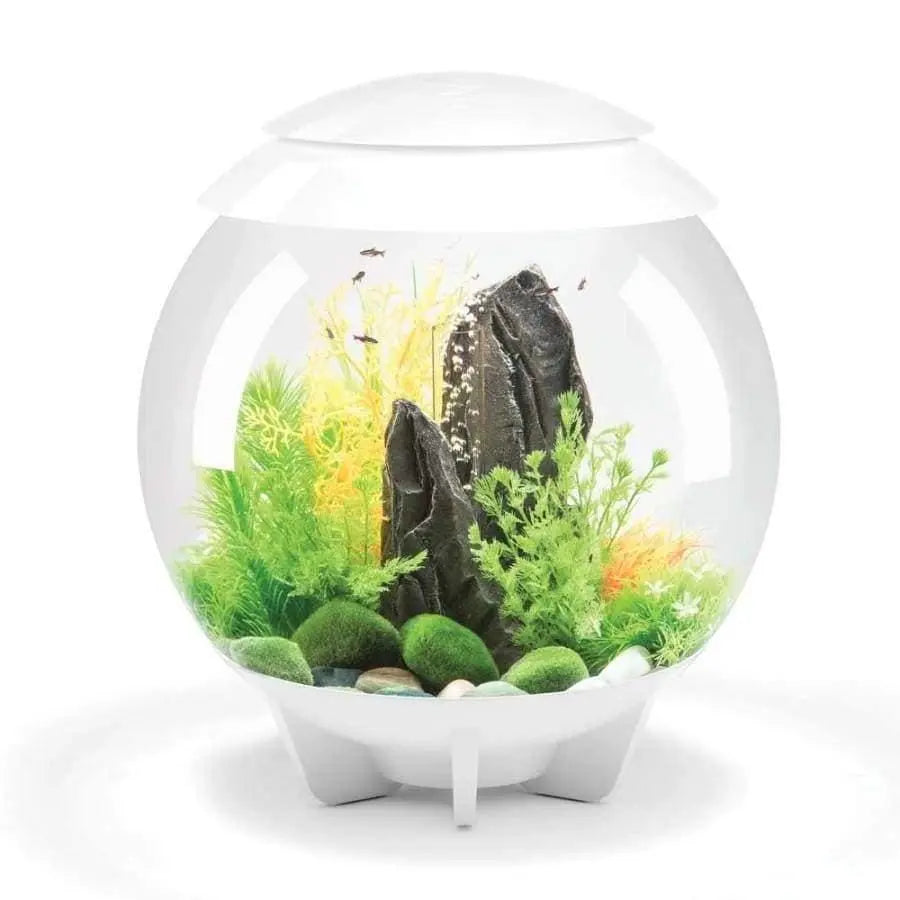 BiOrb HALO Multi-Color Remote Acrylic Aquarium Kit BiOrb CPD