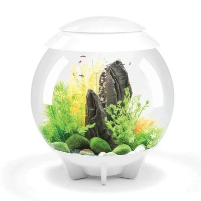 BiOrb HALO Multi-Color Remote Acrylic Aquarium Kit BiOrb CPD