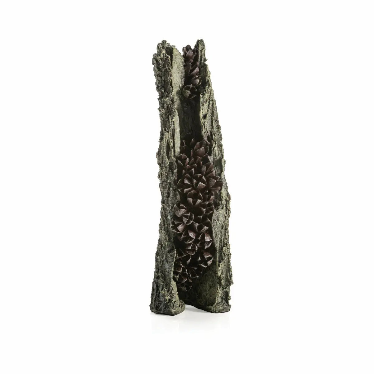 Biorb Earth Bark With Seedpod Reptile Terrarium Decor BiOrb