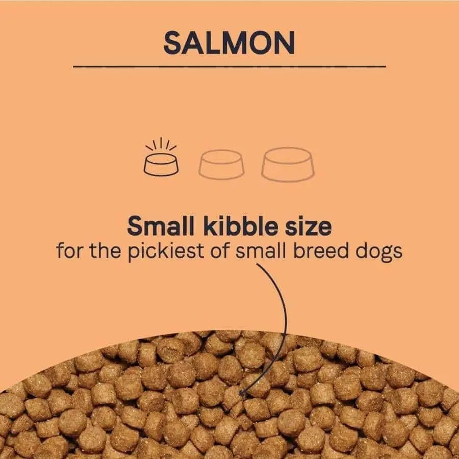 CANIDAE PURE Grain-Free Petite Small Breed Adult Raw Coated with Salmon Freeze-Dried Dry Dog Food Canidae CPD