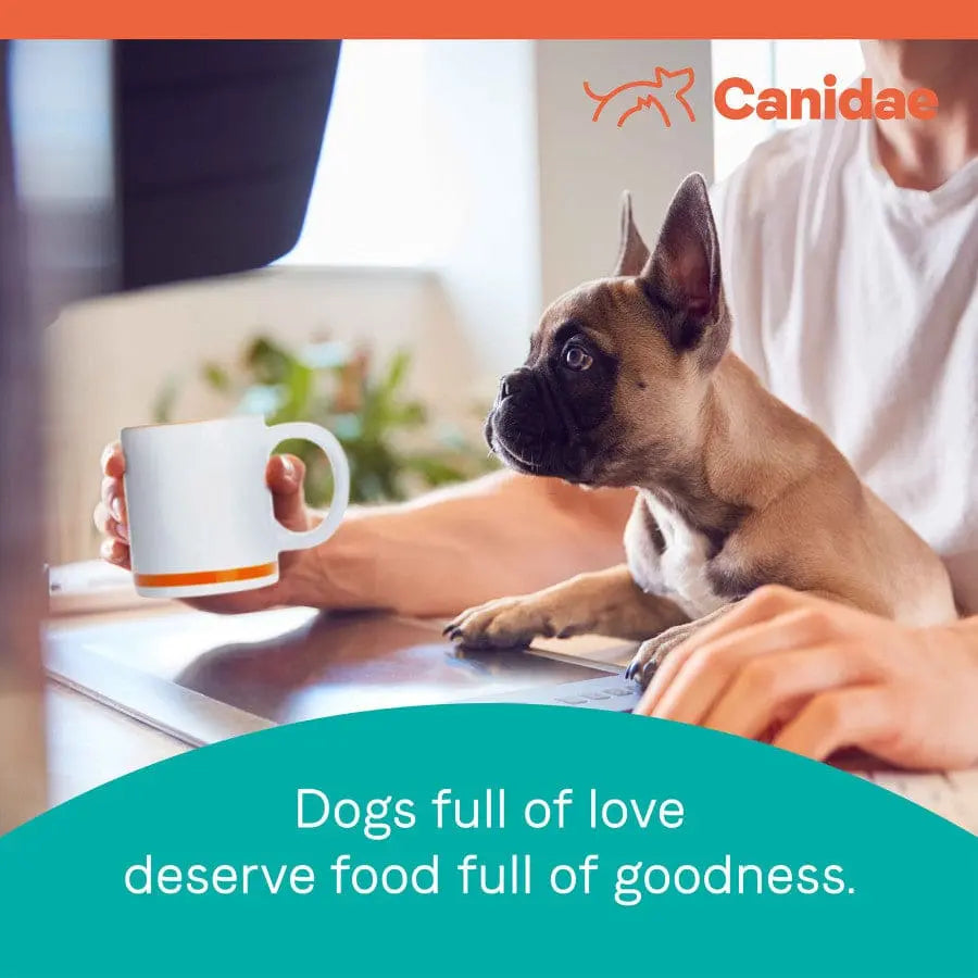 CANIDAE PURE Grain-Free Puppy Real Chicken, Lentil & Whole Egg Recipe Dry Dog Food Canidae CPD