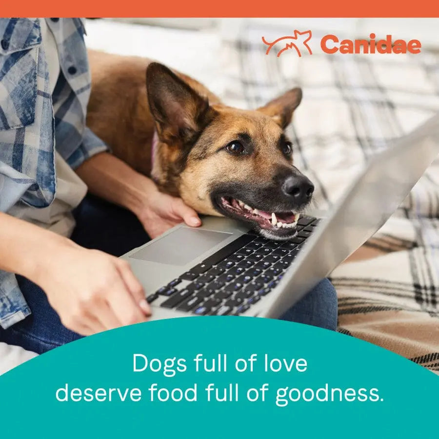 CANIDAE PURE Grain-Free Real Lamb, Goat & Venison Meals Recipe Good Dry Dog Food Canidae CPD