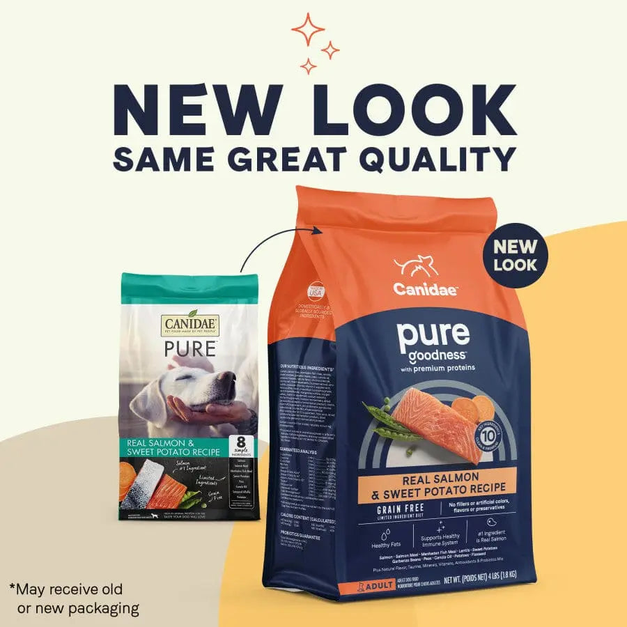 CANIDAE PURE Grain-Free Real Salmon & Sweet Potato Recipe Best Dry Dog Food Canidae CPD