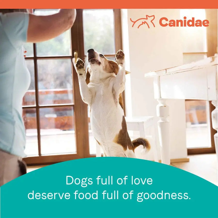 CANIDAE PURE Grain-Free Senior Real Chicken Sweet Potato & Garbanzo Bean Recipe Dry Dog Food Canidae CPD