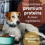 CANIDAE PURE with Wholesome Grains Puppy Real Salmon & Oatmeal Recipe Dry Dog Food Canidae CPD