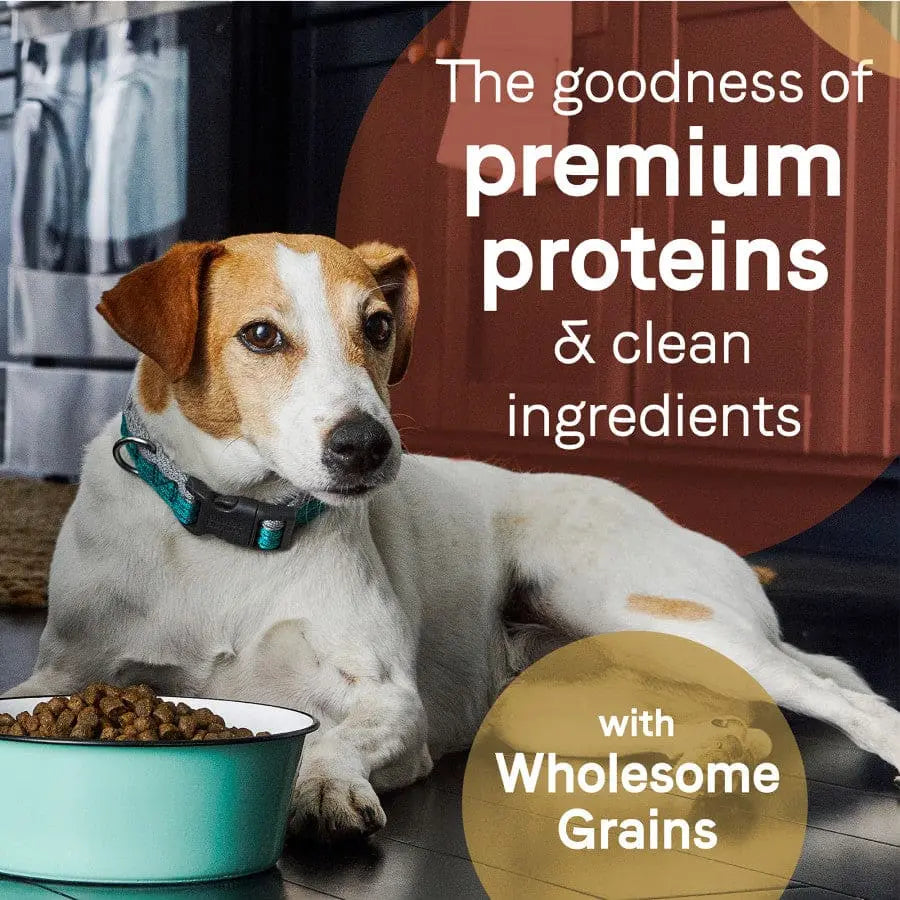 CANIDAE PURE with Wholesome Grains Puppy Real Salmon & Oatmeal Recipe Dry Dog Food Canidae CPD