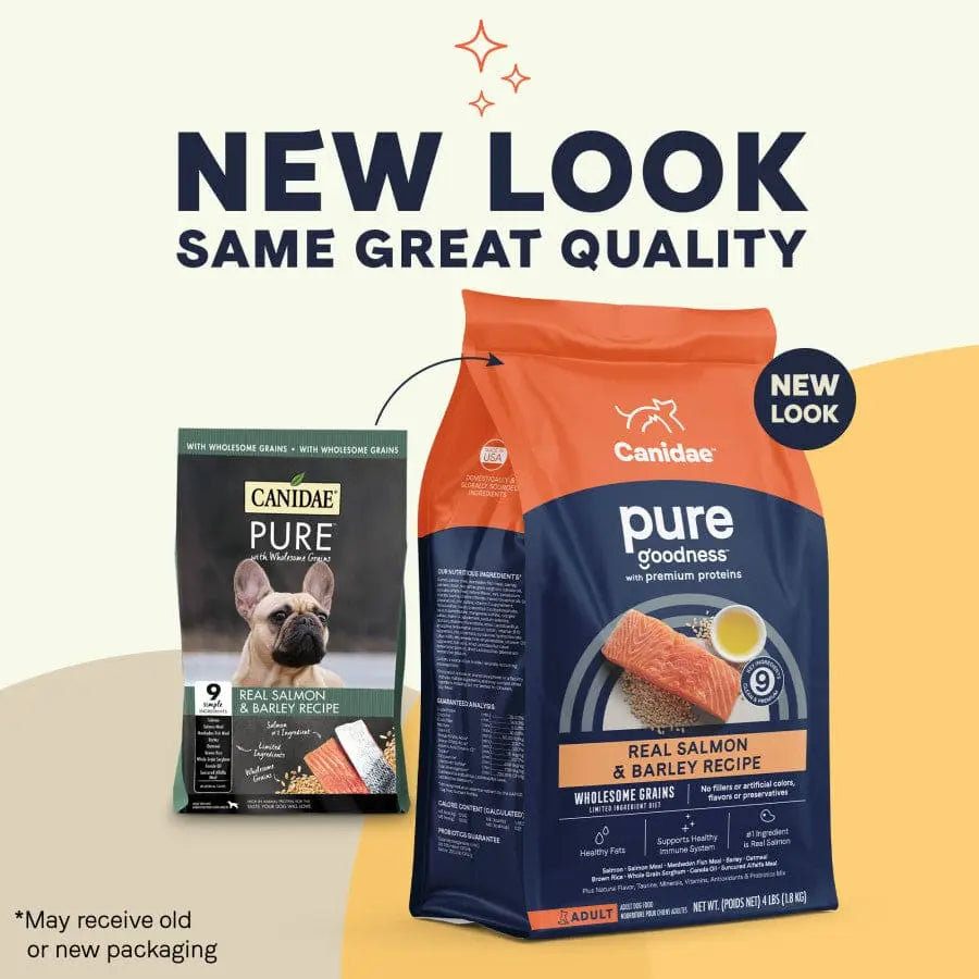 CANIDAE PURE with Wholesome Grains Real Salmon & Barley Recipe Dry Dog Food Canidae CPD