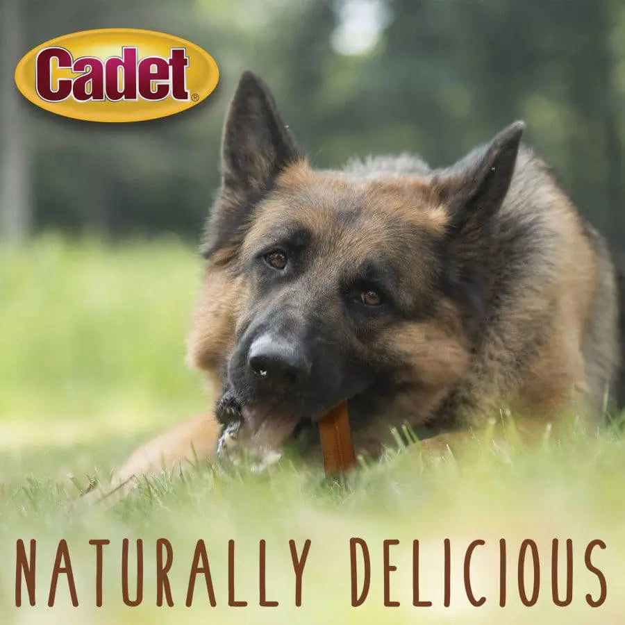 Cadet Bully Sticks Dog Treats Cadet