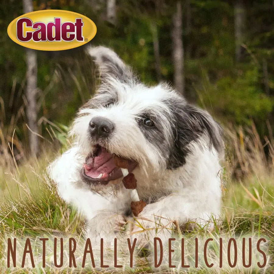 Cadet Gourmet Beef Hide Shish Kabob Dog Treats Cadet