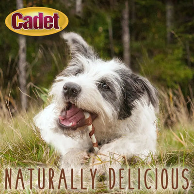 Cadet Gourmet Beef Hide & Duck Dog Twist Sticks Cadet