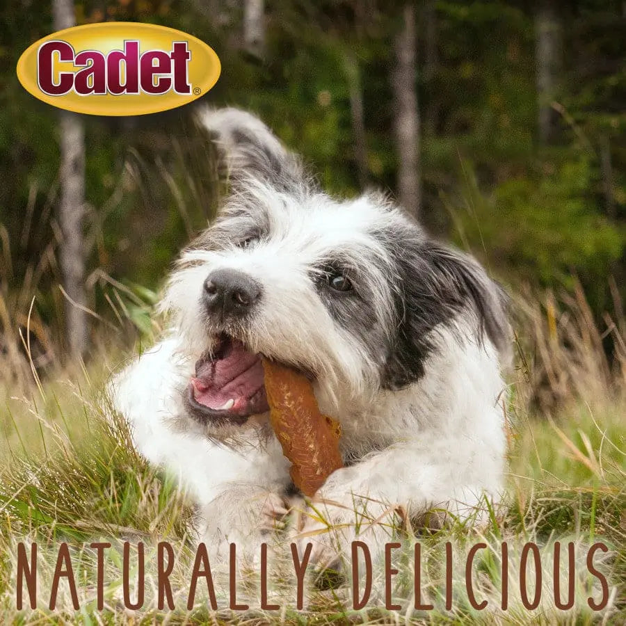 Cadet Gourmet Chicken Breast Dog Treats Breast, Chicken Cadet