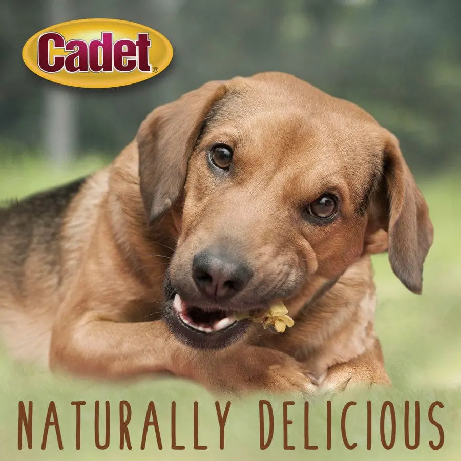 Cadet Gourmet Chicken & Apple Wrapped Dog Treats Cadet