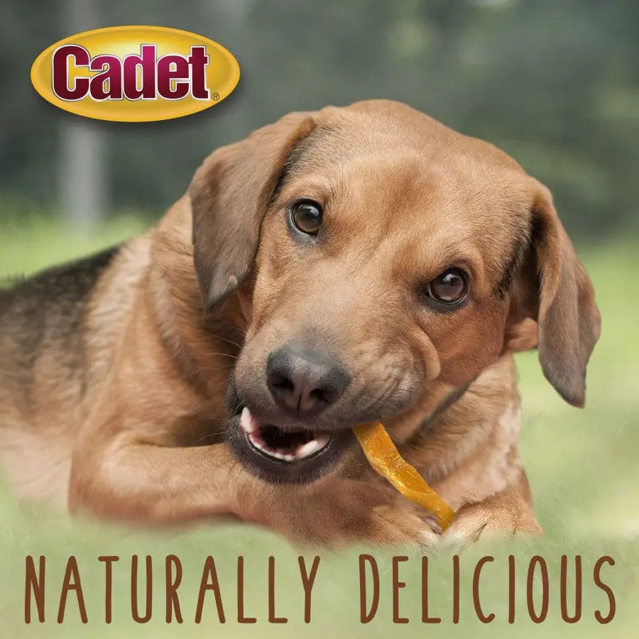 Cadet Gourmet Dog Sweet Potato Fries Cadet