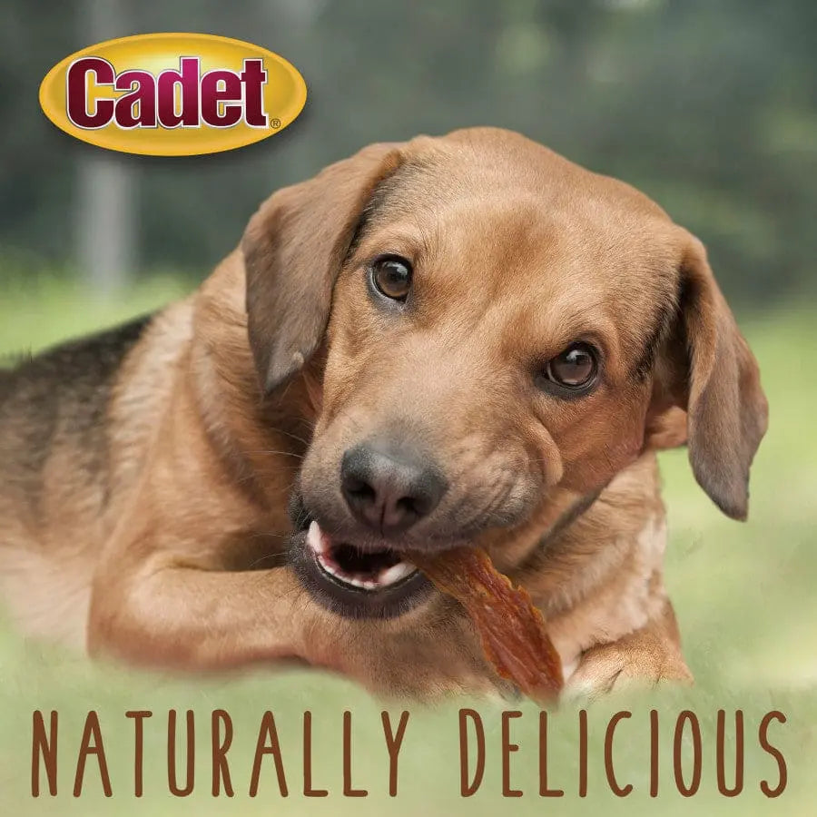 Cadet Gourmet Duck Breast Dog Treats Cadet