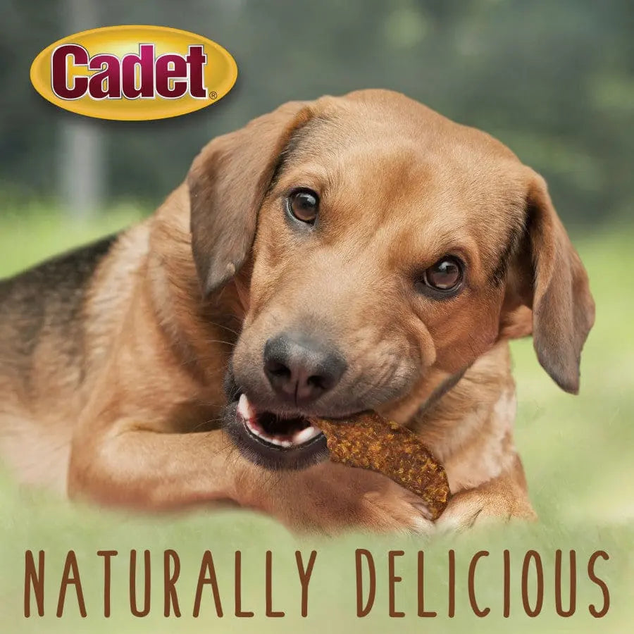 Cadet Gourmet Duck Jerky Dog Treats Cadet