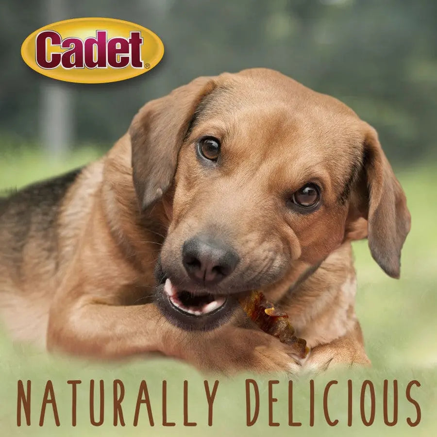 Cadet Gourmet Sweet Potato & Chicken Wrapped Dog Treats Cadet