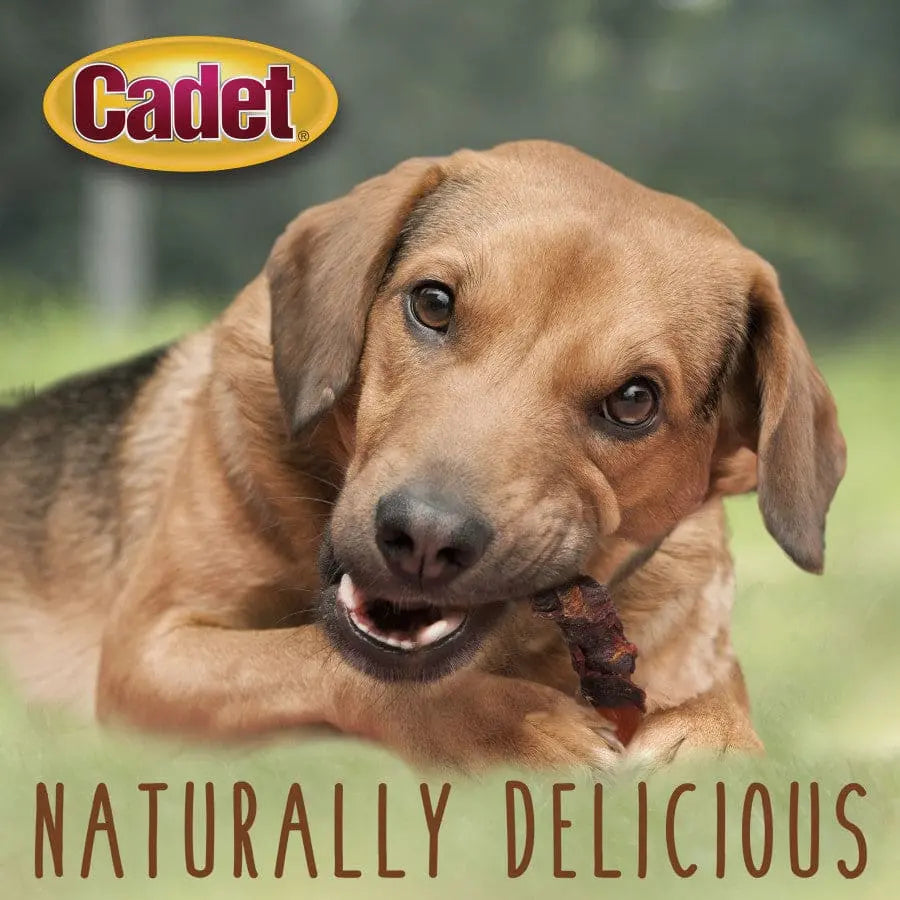 Cadet Gourmet Sweet Potato & Duck Wrapped Dog Treats Cadet