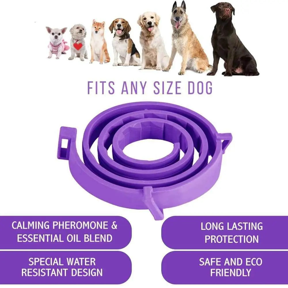 Calming Collar for Dogs Made with Natural Ingredient to Help Your Dog Allays Feel Secure, Happy and Talis Us