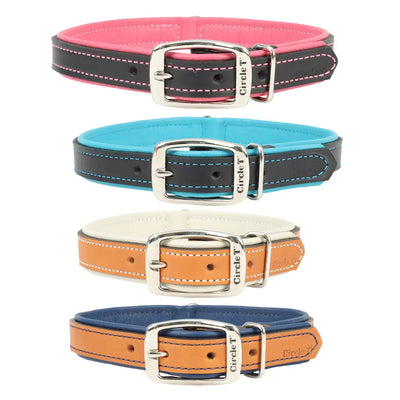 Circle T® Double-Ply Fashion Leather Collar Coastal Pet