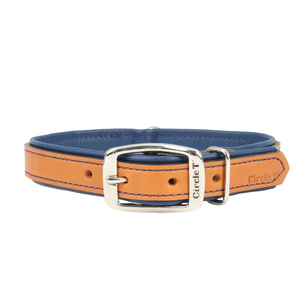 Circle T® Double-Ply Fashion Leather Collar Coastal Pet