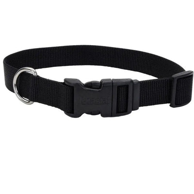 Coastal Adjustable Nylon Dog Collar with Plastic Buckle Coastal CPD