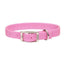 Coastal Double-Ply Nylon Dog Collar Coastal CPD