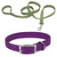 Coastal Flat Buckle Double Ply Nylon Collars & Leads Coastal Pet