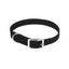 Coastal Single-Ply Nylon Dog Collar Coastal CPD