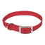 Coastal Single-Ply Nylon Dog Collar Coastal CPD