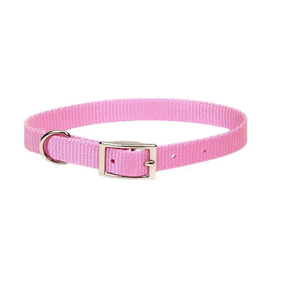 Coastal Single-Ply Nylon Dog Collar Coastal CPD