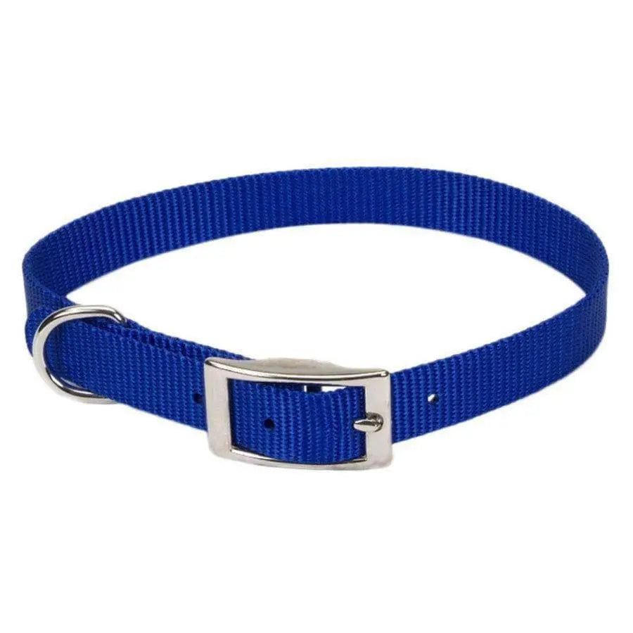 Coastal Single-Ply Nylon Dog Collar Coastal CPD