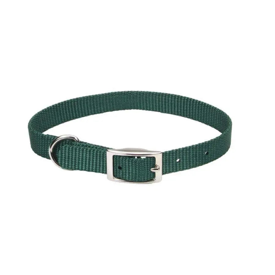 Coastal Single-Ply Nylon Dog Collar Coastal CPD