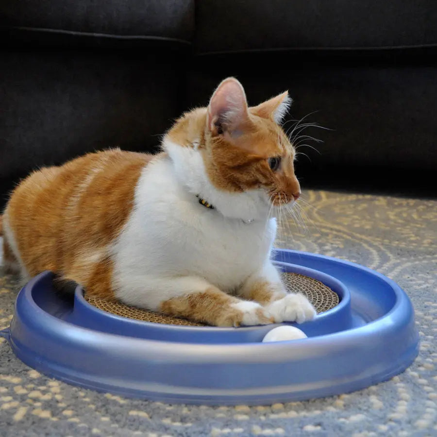 Coastal® Turbo® Scratcher® Cat Toys Multicolor 1 Count Coastal®