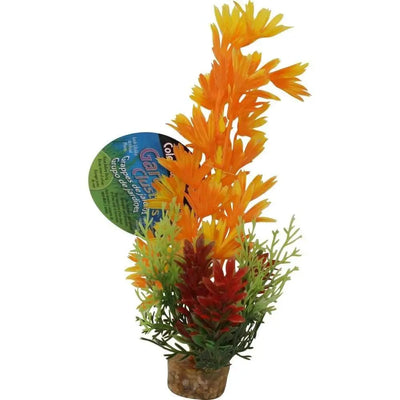 Color Burst Florals Large Brush Plants Blue Ribbon Pet