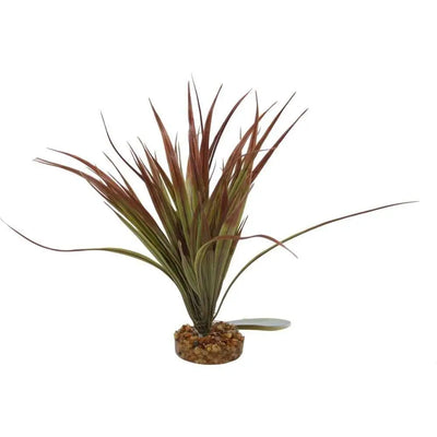 Color Burst Florals Mini Sword Plant Blue Ribbon Pet