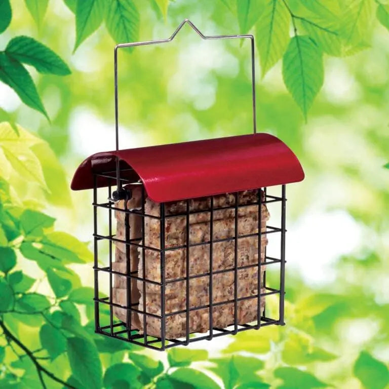 Crimson Double Bird Suet Feeder North States Industries