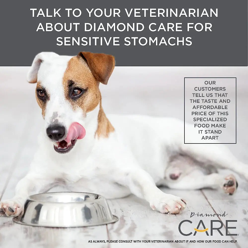 Diamond Care® Sensitive Stomach Formula Adult Dry Dog Food Diamond Care