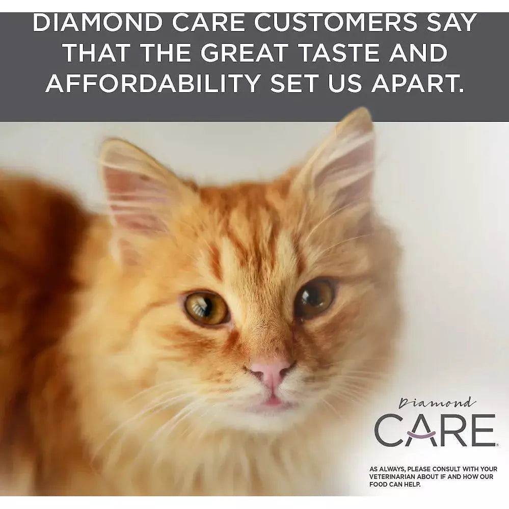 Diamond Care® Urinary Support Formula for Adult Dry Cat Food Diamond Care