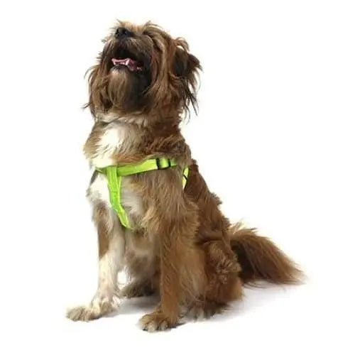 Dogline Nylon Flat Step-In Harness Dogline WP