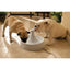 Drinkwell Plastic 360 Pet Fountain 128oz Drinkwell CPD