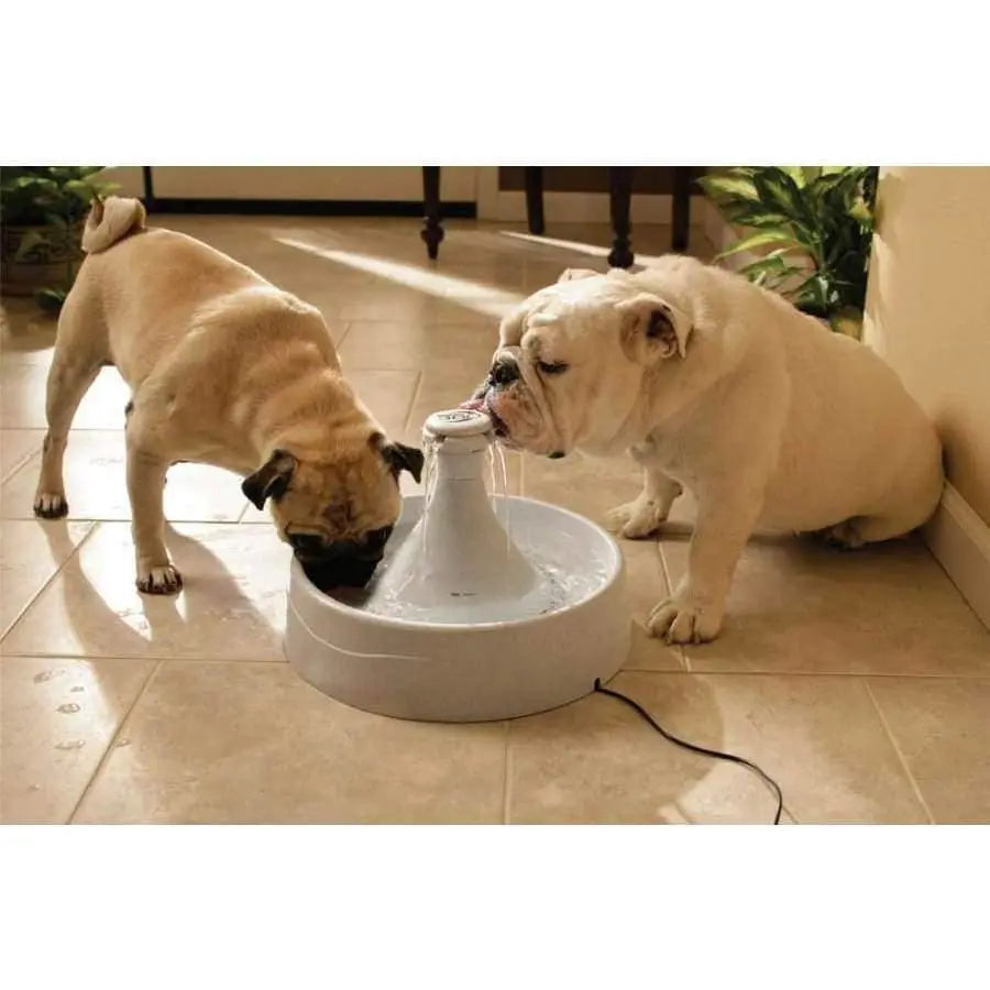 Drinkwell Plastic 360 Pet Fountain 128oz Drinkwell CPD