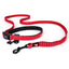 EZY Dog - Road Runner Leash EZY Dog