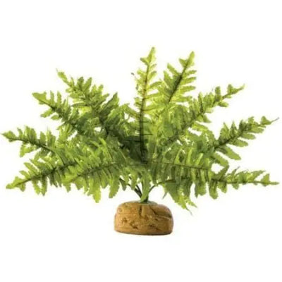 Exo Terra Boston Fern Terrarium Plant Exo-Terra