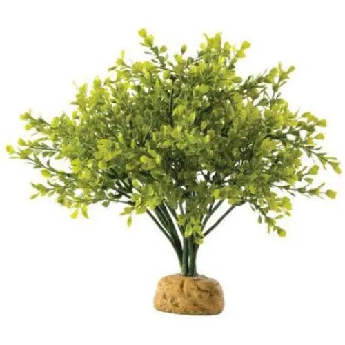 Exo Terra Boxwood Bush Terrarium Plant Exo-Terra