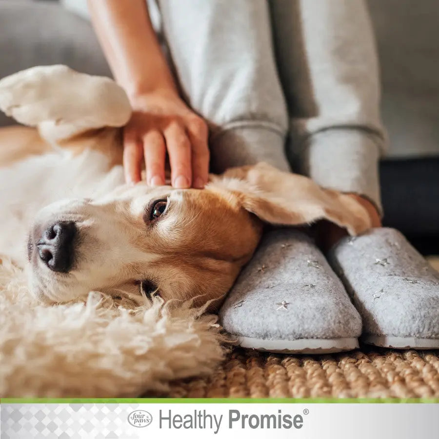 Four Paws Healthy Promise Pet Ear Wipes 35 ct Four Paws