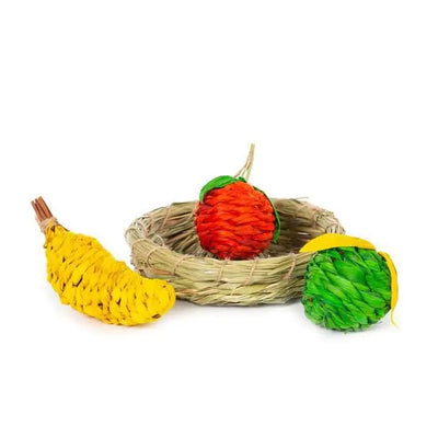 Fruit Plate Nibbler Prevue Pet