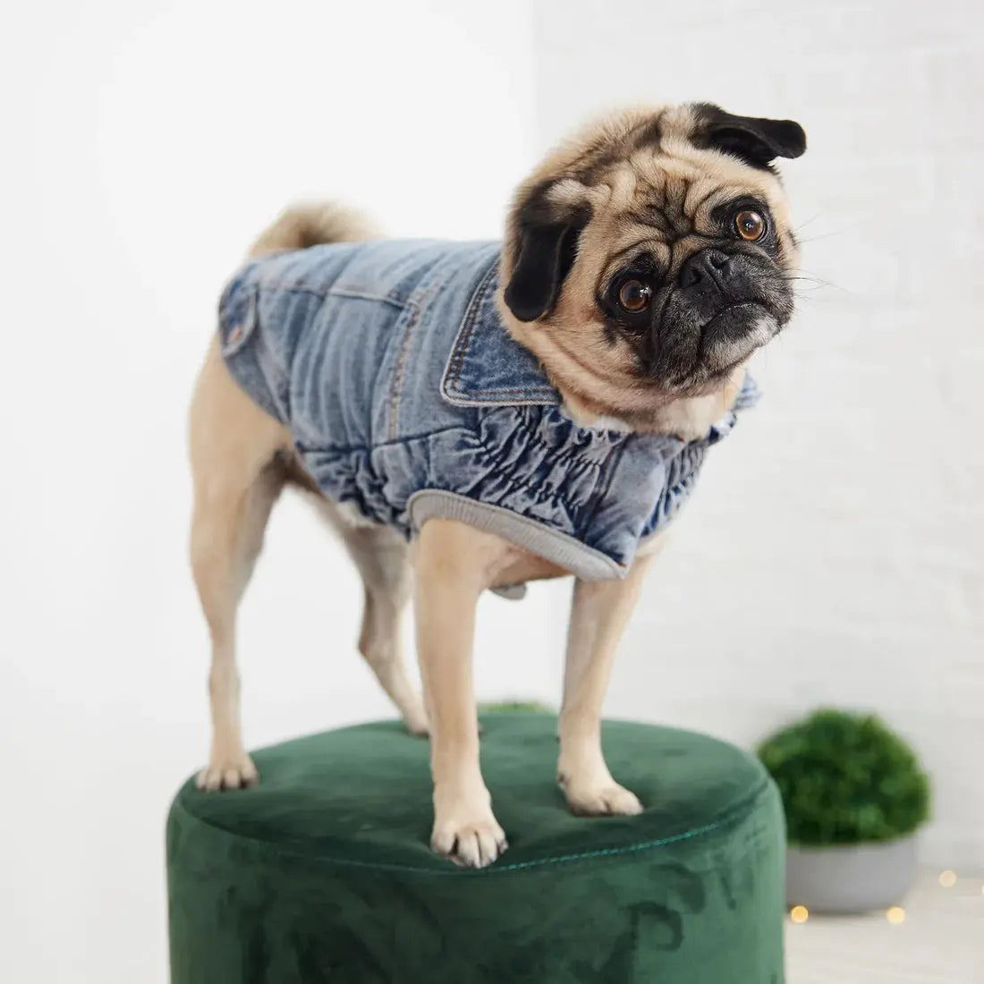 GF Pet Denim Dog Jacket Light Wash GF Pet