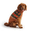 GF Pet Heritage Dog Sweater Warm Pets Clothes GF Pet