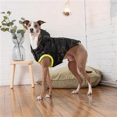 GF Pet Recycled Parka Dog Coat Camouflage GF Pet