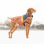 GF Pet Retro Puffer Hazel Dog Jacket w/ Warm Sherpa GF Pet